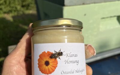 Honung, frukt och Yoga-mindfulness!